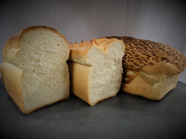 Wit brood